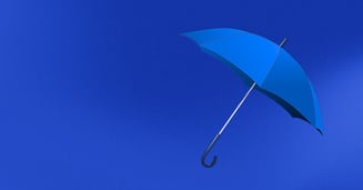 Good Financial Reads:&nbsp;Protecting your Portfolio