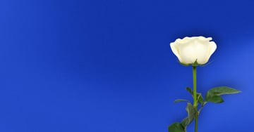 Good Financial Reads: Topics for Your Next Money Date