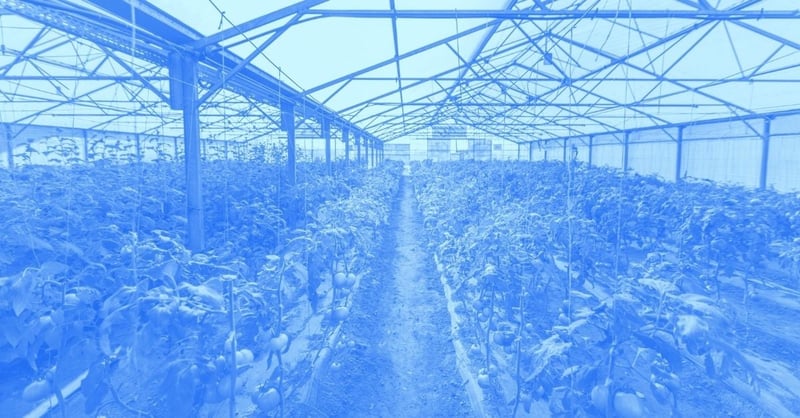 Spring Clean Your Finances